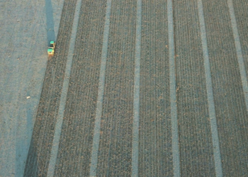 El mundo cambió: ¿Cómo es posible que gran parte de los equipos que desarrollan nuevas semillas ya no cuenten con conocimientos en agronomía?