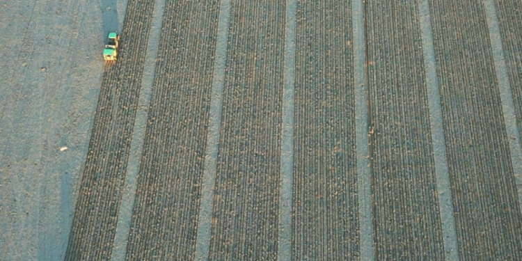 El mundo cambió: ¿Cómo es posible que gran parte de los equipos que desarrollan nuevas semillas ya no cuenten con conocimientos en agronomía?