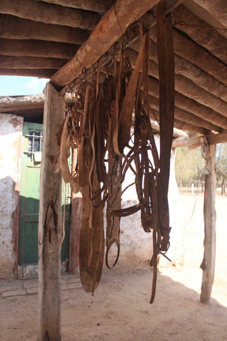Vivir a las puertas de El Impenetrable: Pancho y Vitalina hacen aperos, guardamontes, morteros de palo santo y otros “trabajos de monte”
