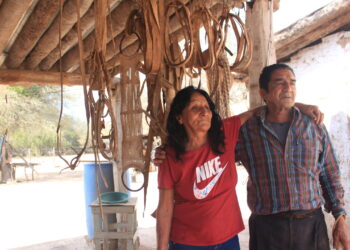 Vivir a las puertas de El Impenetrable: Pancho y Vitalina hacen aperos, guardamontes, morteros de palo santo y otros “trabajos de monte”