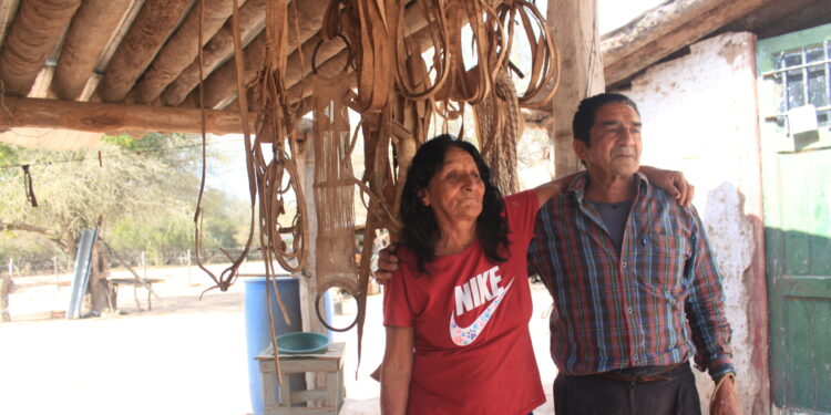 Vivir a las puertas de El Impenetrable: Pancho y Vitalina hacen aperos, guardamontes, morteros de palo santo y otros “trabajos de monte”