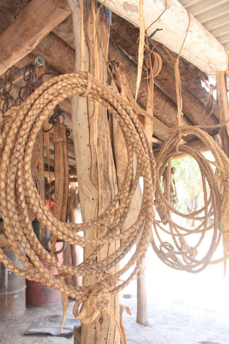 Vivir a las puertas de El Impenetrable: Pancho y Vitalina hacen aperos, guardamontes, morteros de palo santo y otros “trabajos de monte”