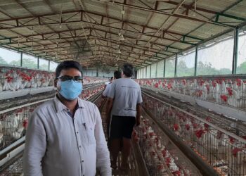 Modernidad forzosa: India se quedó sin harina de soja y tuvo que aprobar de facto la importación del producto elaborado con porotos transgénicos