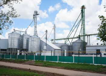 Salió la primera tanda del año de créditos fiscales para capacitación de personal: Cuáles son las empresas agroindustriales beneficiadas