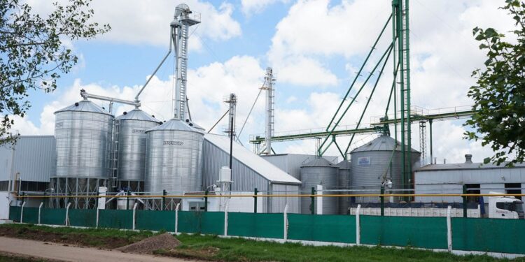 Salió la primera tanda del año de créditos fiscales para capacitación de personal: Cuáles son las empresas agroindustriales beneficiadas