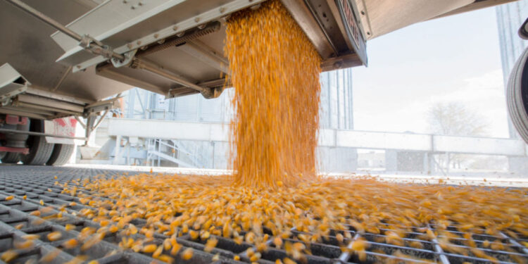 Queda poco más de un millón de toneladas para completar el cupo tácito de exportación de maíz 2020/21