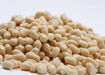 Implementaron “valores referenciales de exportación” para el maní blancheado