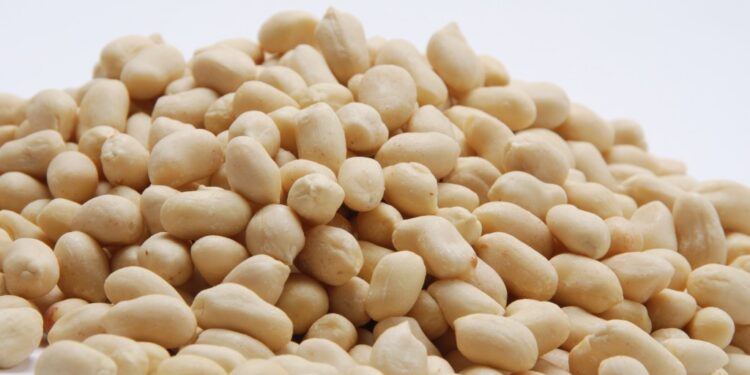 Implementaron “valores referenciales de exportación” para el maní blancheado