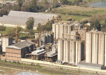 Al final, Molino Cañuelas pidió su concurso preventivo de acreedores: “Buscamos proteger activos y los puestos de trabajo”, indicó la empresa