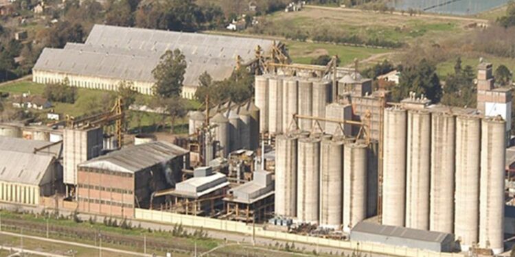 Al final, Molino Cañuelas pidió su concurso preventivo de acreedores: “Buscamos proteger activos y los puestos de trabajo”, indicó la empresa