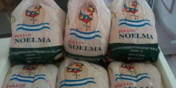 En Villa Elisa, la avícola Noelma tiene planes para aumentar 10% su producción y aguarda el financiamiento prometido por el gobierno