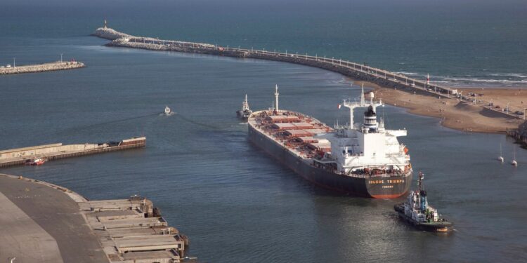 Las razones por las cuales cae la soja en EE.UU. representan un factor alcista para Brasil y Argentina