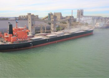 ¿Por qué los “premios” que se pagan por el maíz en el sur bonaerense son inexistentes en el caso de la soja?