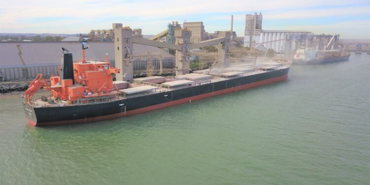 ¿Por qué los “premios” que se pagan por el maíz en el sur bonaerense son inexistentes en el caso de la soja?