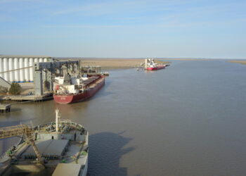 Cosas locas que sólo pasan en la Argentina: Productores están vendiendo maíz al valor FOB