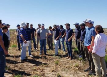 Éxodo: Alberto Quiroga está orgulloso del INTA, pero advierte que “está costando retener los recursos humanos muy capacitados”
