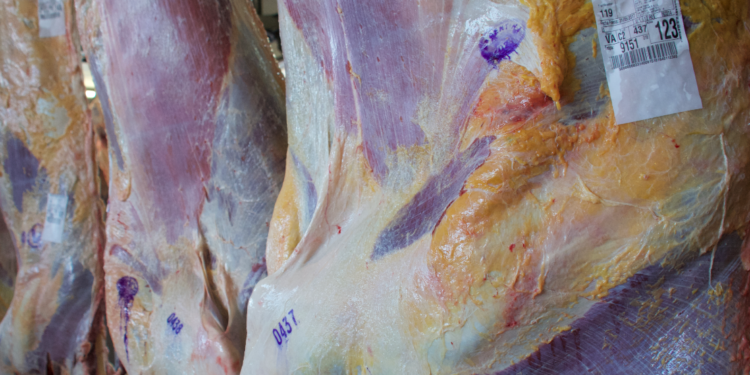 En lo que va del año 225.000 bovinos fueron tipificados como “premium” ¿Te habrás comido un asado con alguno de ellos?