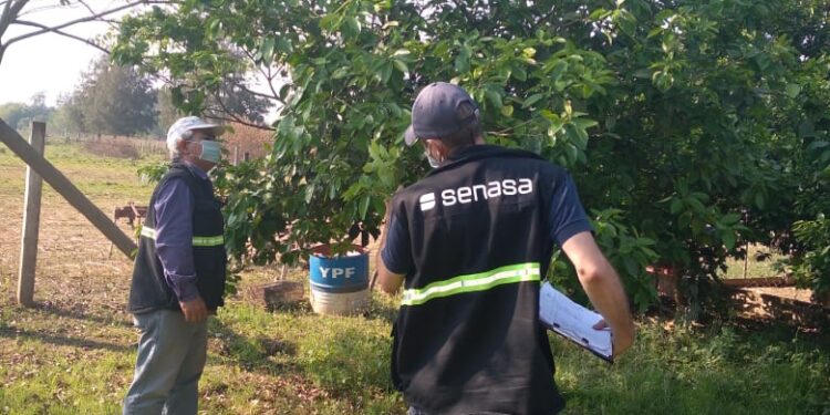 El proyecto de presupuesto nacional del año 2022 contempla un importante aumento de las partidas asignadas al INTA y Senasa