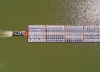 En lo que va del año Argentina importó 3,60 millones de toneladas de soja paraguaya en el marco del régimen de admisión temporaria