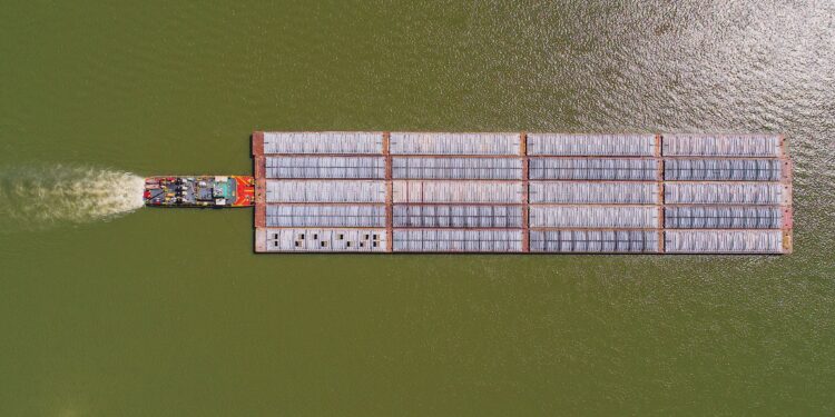 En lo que va del año Argentina importó 3,60 millones de toneladas de soja paraguaya en el marco del régimen de admisión temporaria