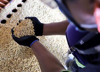 El precio de la soja argentina superó a la estadounidense por los desastres generados por el huracán Ida en Nueva Orleans