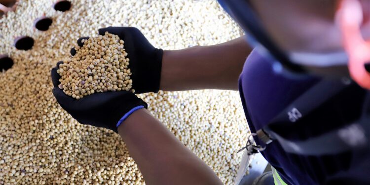 El precio de la soja argentina superó a la estadounidense por los desastres generados por el huracán Ida en Nueva Orleans