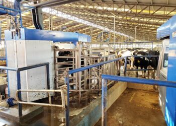 La revolución silenciosa que está transformando por completo a la lechería avanza firme más allá de los condicionantes presentes en la coyuntura