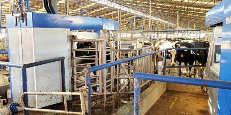 La revolución silenciosa que está transformando por completo a la lechería avanza firme más allá de los condicionantes presentes en la coyuntura