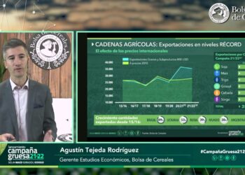 En el ciclo 2021/22 Argentina está en condiciones de exportar un récord histórico de 38 millones de toneladas de maíz