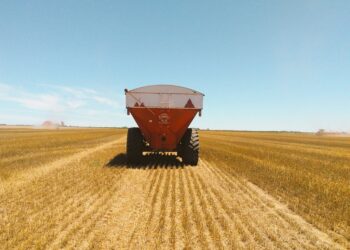 Los productores argentinos mantienen la “sartén por el mango” en el mercado de trigo a pesar del corralito implementado por la intervención