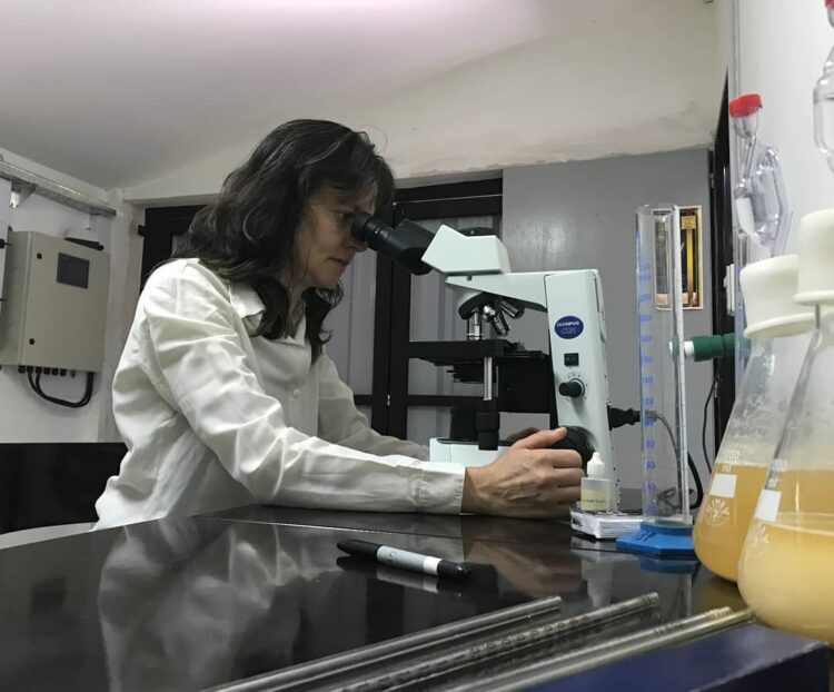 Néstor y Lila crearon la primera destilería de whisky de malta del país y son pioneros en la siembra de cebadas especiales en Chubut