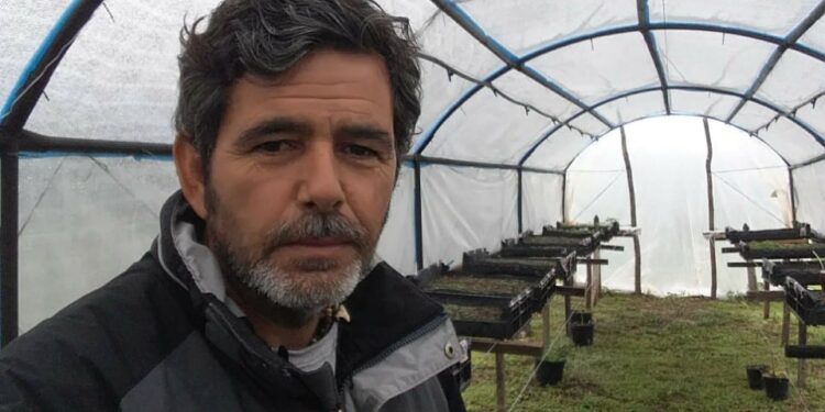 Pablo Bencivenga empezó a producir peperina bajo invernadero “antes de que se extinguiera”: Ya tiene 50 mil plantines y prenden bien