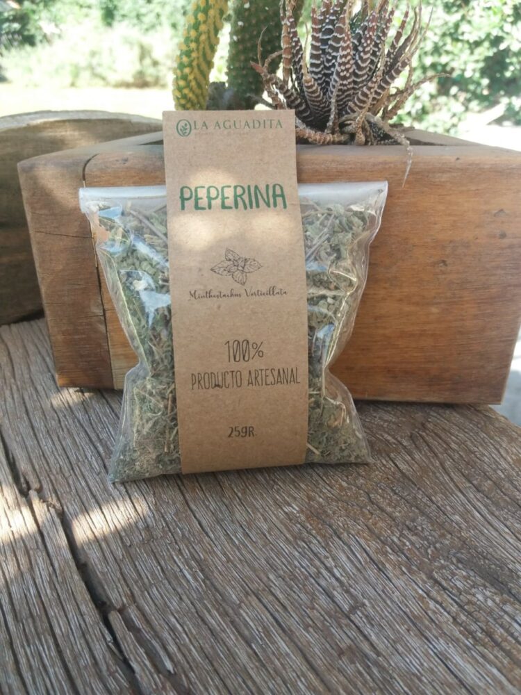 Pablo Bencivenga empezó a producir peperina bajo invernadero “antes de que se extinguiera”: Ya tiene 50 mil plantines y prenden bien