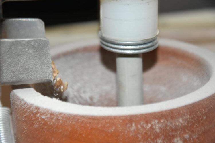 Después de años de hacer agricultura tradicional, los Calderón apostaron al modelo agroecológico y hoy hasta producen su propia harina orgánica