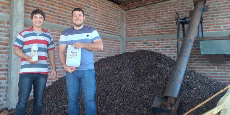 A dos emprendedores misioneros se les ocurrió que había que resucitar la vieja industria del aceite de Tung, una rara nuez que solo crece en Misiones