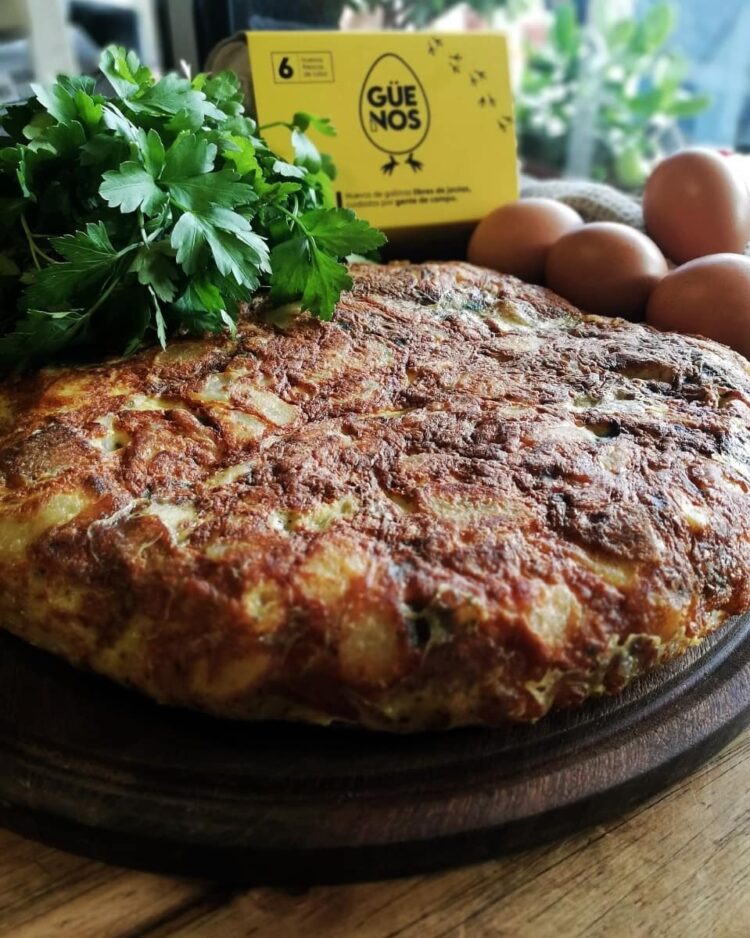 A Pedro le cambió la cabeza trabajar en África: Cuando volvió se asoció con familias rurales para criar gallinas libres en galpones ociosos