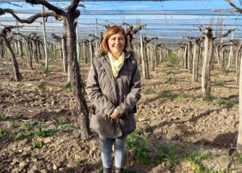 Los hermanos Analía y Adrián Sánchez decidieron llevar la producción de uvas Red Globe de Mendoza a Córdoba: “Esta finca es nuestro pequeño paraíso”, aseguran