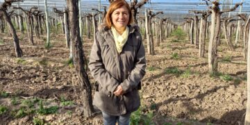 Los hermanos Analía y Adrián Sánchez decidieron llevar la producción de uvas Red Globe de Mendoza a Córdoba: “Esta finca es nuestro pequeño paraíso”, aseguran