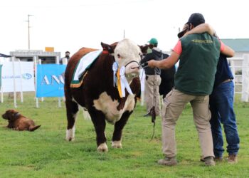 Se realizó la Rural de Choele Choel y los ganaderos de Río Negro pudieron volver a abrazarse luego de 755 días