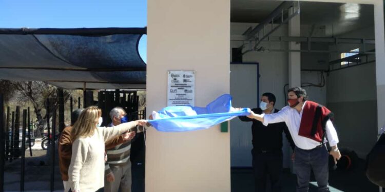 Salta tenía las cabras pero no un lugar para faenarlas: Familias campesinas montaron el primer matadero para pequeños rumiantes y camélidos en Seclantás