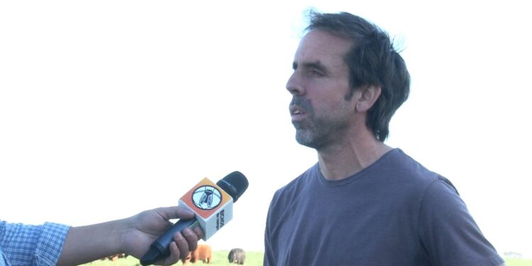 En Tandil, Juan Pereyra convenció a su familia para hacer la transición hacia la agroecología: “A nivel extensivo creí que no había tantas experiencias, pero hay un montón”