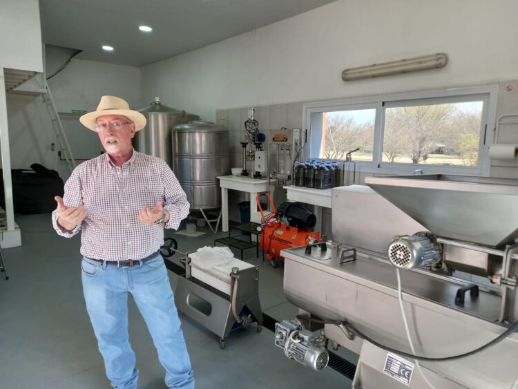 El cordobés Walter Osterode desafía el tiempo y elabora un aceite extra virgen con olivos plantados por su abuelo hace 75 años