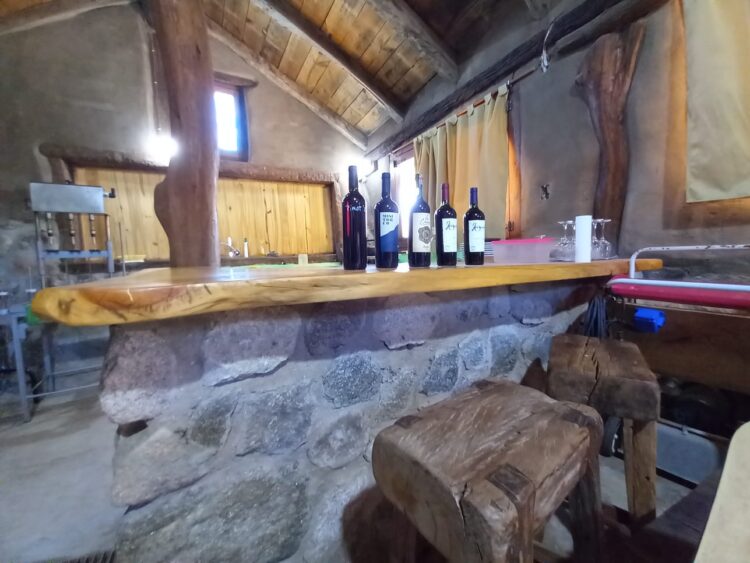 Trepando al Champaquí, la enóloga Elina Gaido montó un viñedo experimental donde además rescata las cepas olvidadas de Traslasierra