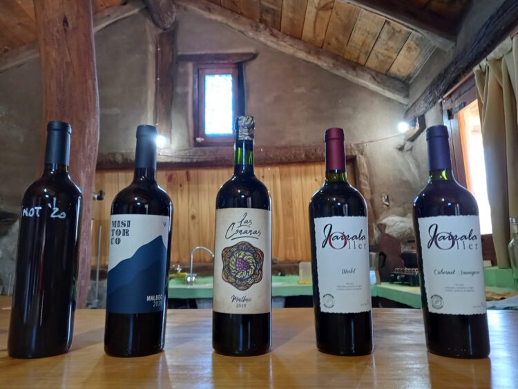 Trepando al Champaquí, la enóloga Elina Gaido montó un viñedo experimental donde además rescata las cepas olvidadas de Traslasierra