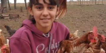 Abril Tolentino tiene 14 años y como se aburría en la pandemia se puso a criar gallinas felices: Ya tiene 800 y vende los huevos en su pueblo