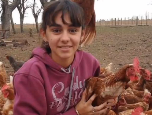 Abril Tolentino tiene 14 años y como se aburría en la pandemia se puso a criar gallinas felices: Ya tiene 800 y vende los huevos en su pueblo