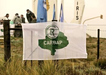 Rechazo ruralista a los dichos de Domínguez sobre nuevas intervenciones sobre el mercado de carne, trigo y maíz