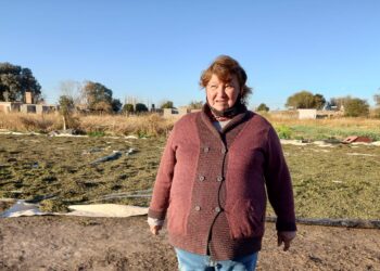¿De dónde viene la menta? Graciela Benegas dirige un secadero en Traslasierra y nos explicó todo el proceso, hasta antes del chicle