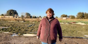 ¿De dónde viene la menta? Graciela Benegas dirige un secadero en Traslasierra y nos explicó todo el proceso, hasta antes del chicle