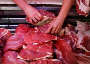 Volvió a bajar (el 1,4%) la carne en agosto, pero esto no asegura que el gobierno cumpla su promesa de rehabilitar las exportaciones sino todo lo contrario